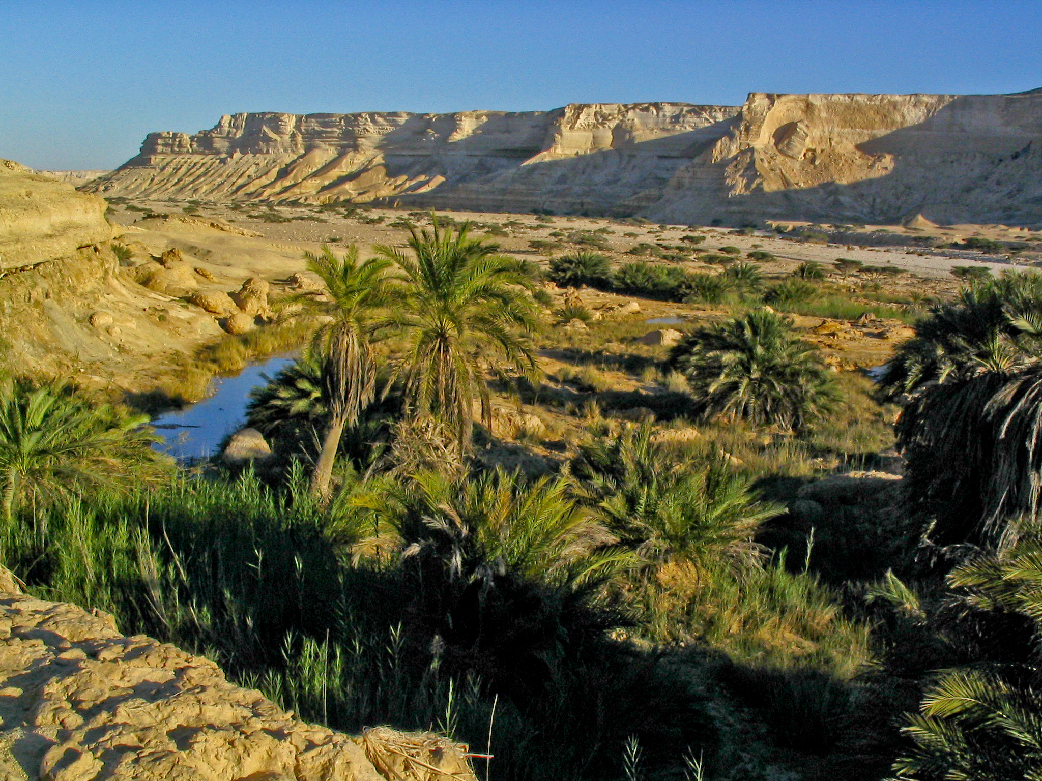 Sebuah oasis di Oman
