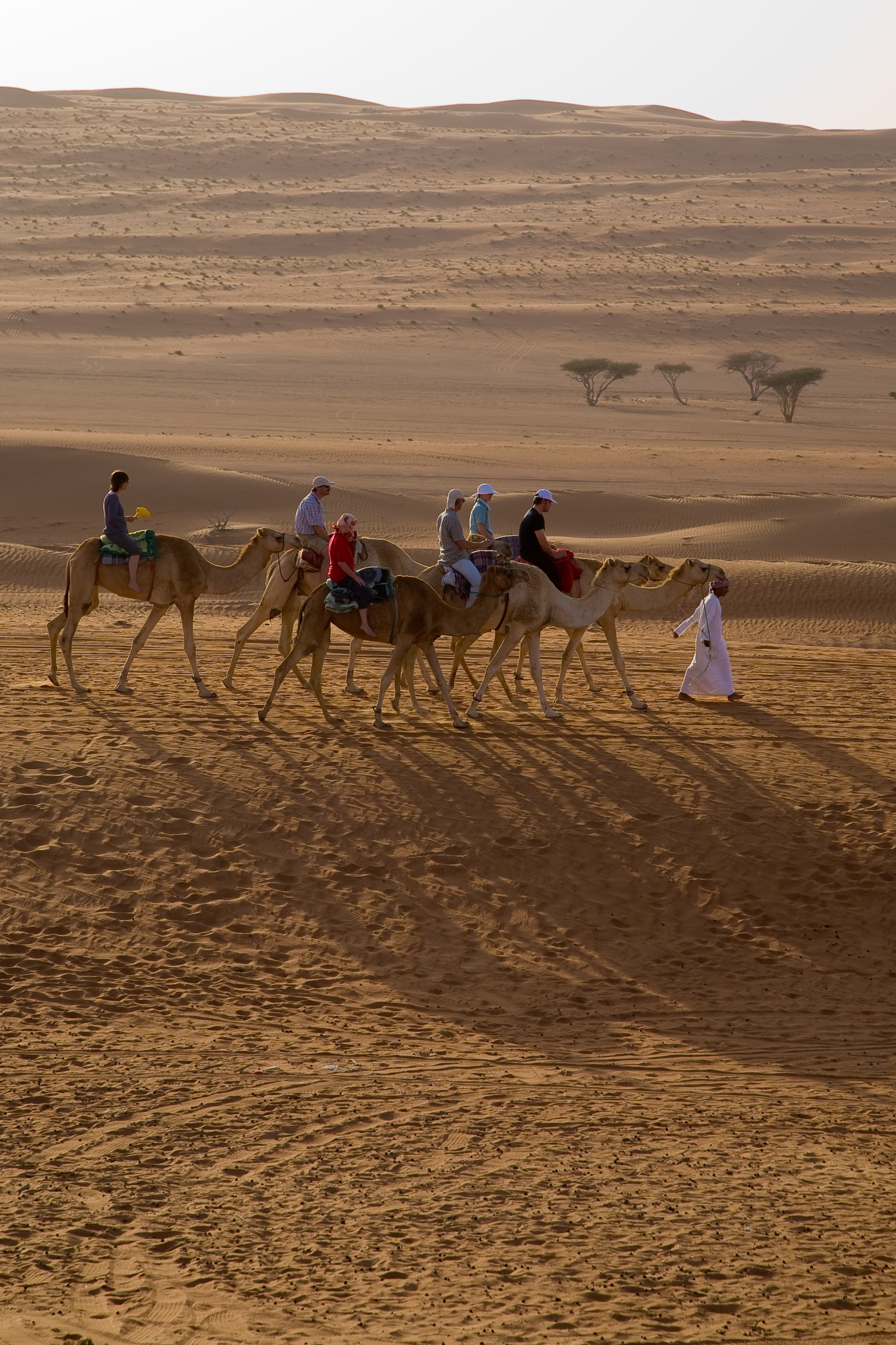 Wahiba Sands