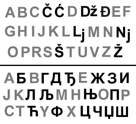 Bahasa Serbia standar menggunakan aksara Kiril dan Latin. Bahasa Serbia adalah contoh langka dari digrafia sinkronis, sebuah situasi di mana semua anggota masyarakat yang melek huruf memiliki dua sistem penulisan yang dapat dipertukarkan yang tersedia bagi mereka.
