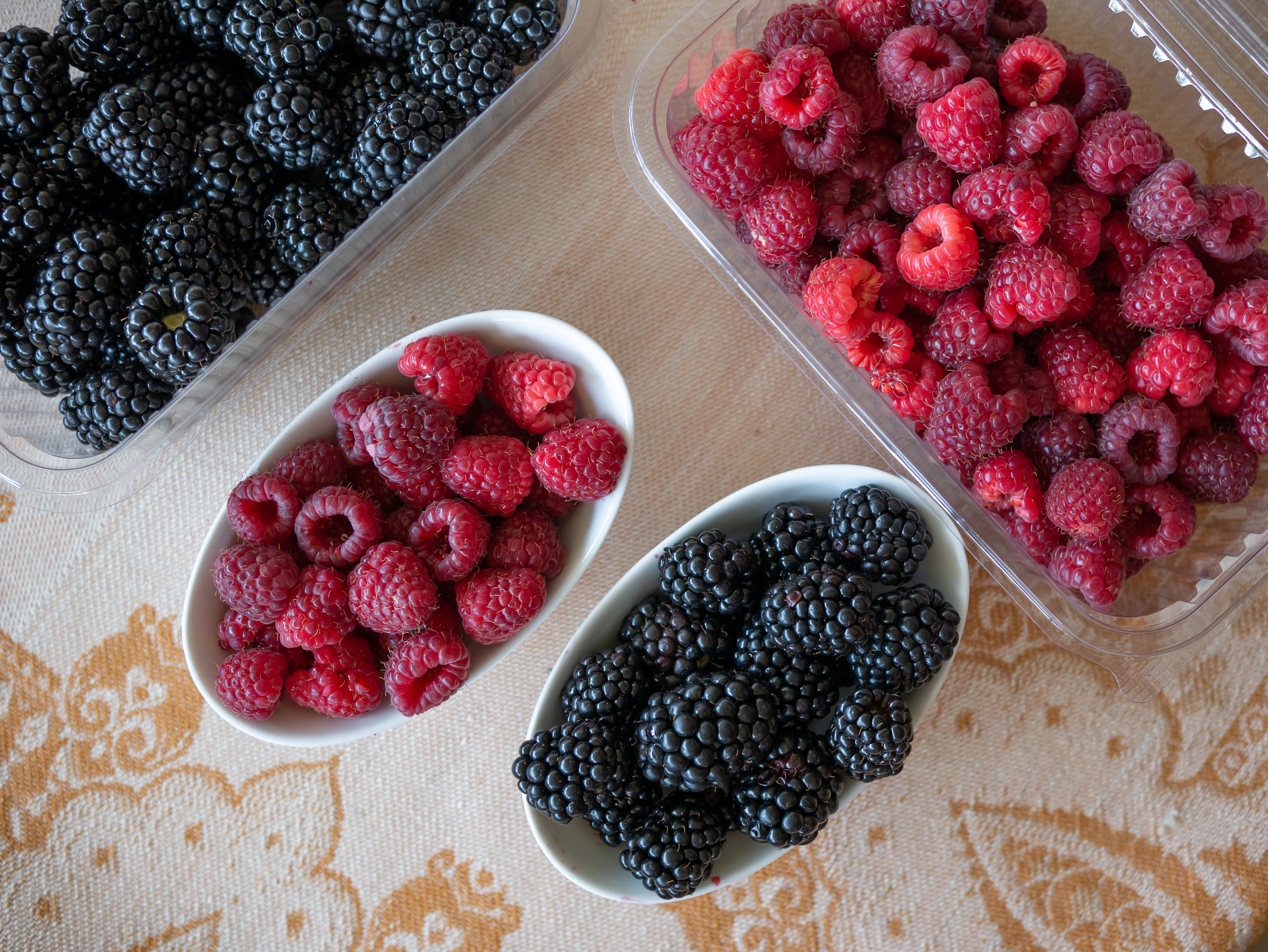 Serbia adalah salah satu pemasok buah beku terbesar ke UE dan produsen besar buah-buahan seperti raspberry, blackberry, apel, dan plum.