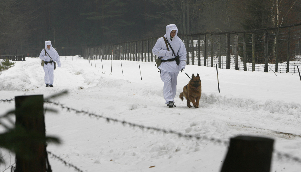 Soldiers patrol in the Białowieża Forest on the Belarusian border with Poland.