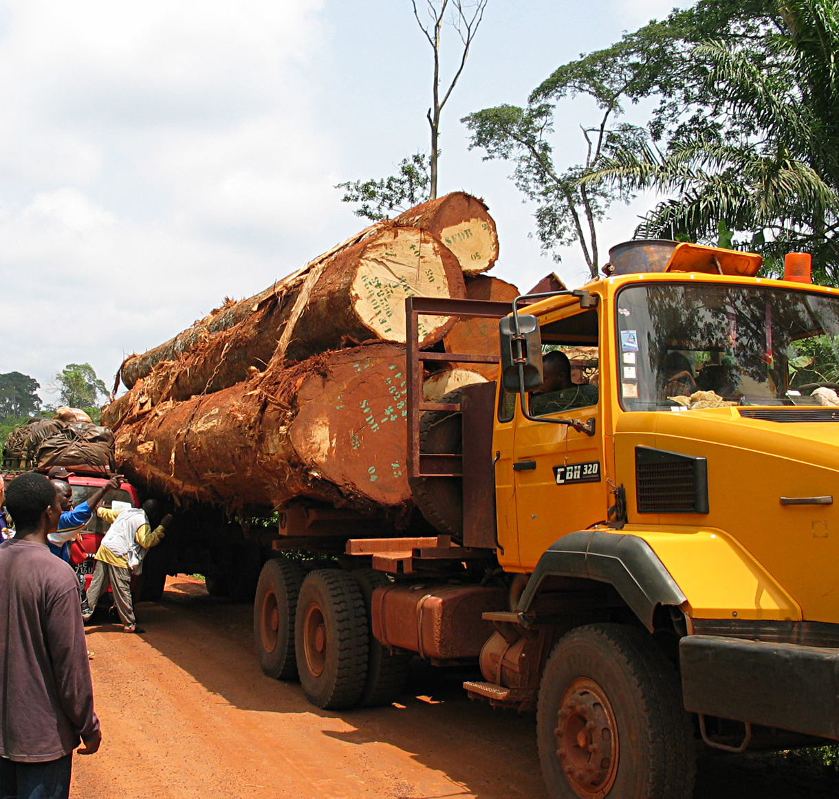 Vận chuyển gỗ ở Cameroon. Gỗ là một trong những mặt hàng xuất khẩu chính của đất nước.