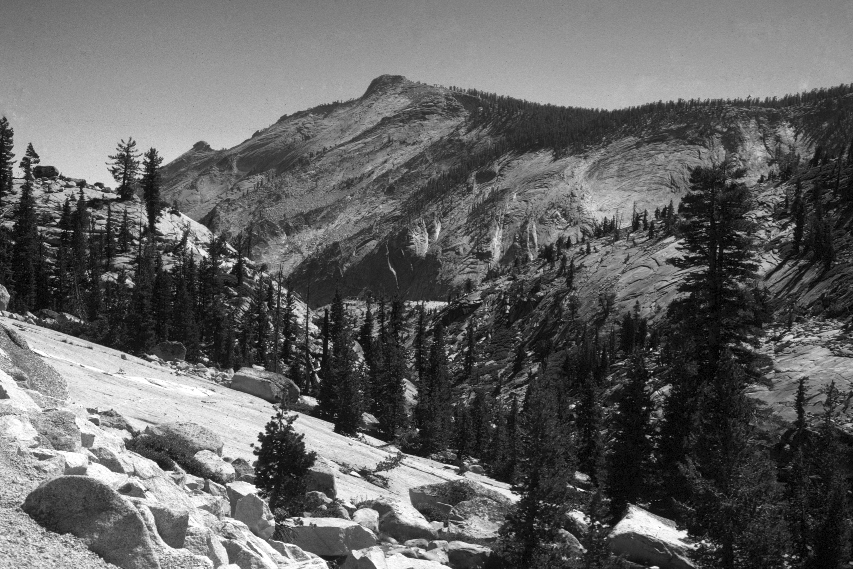 Yosemite scene