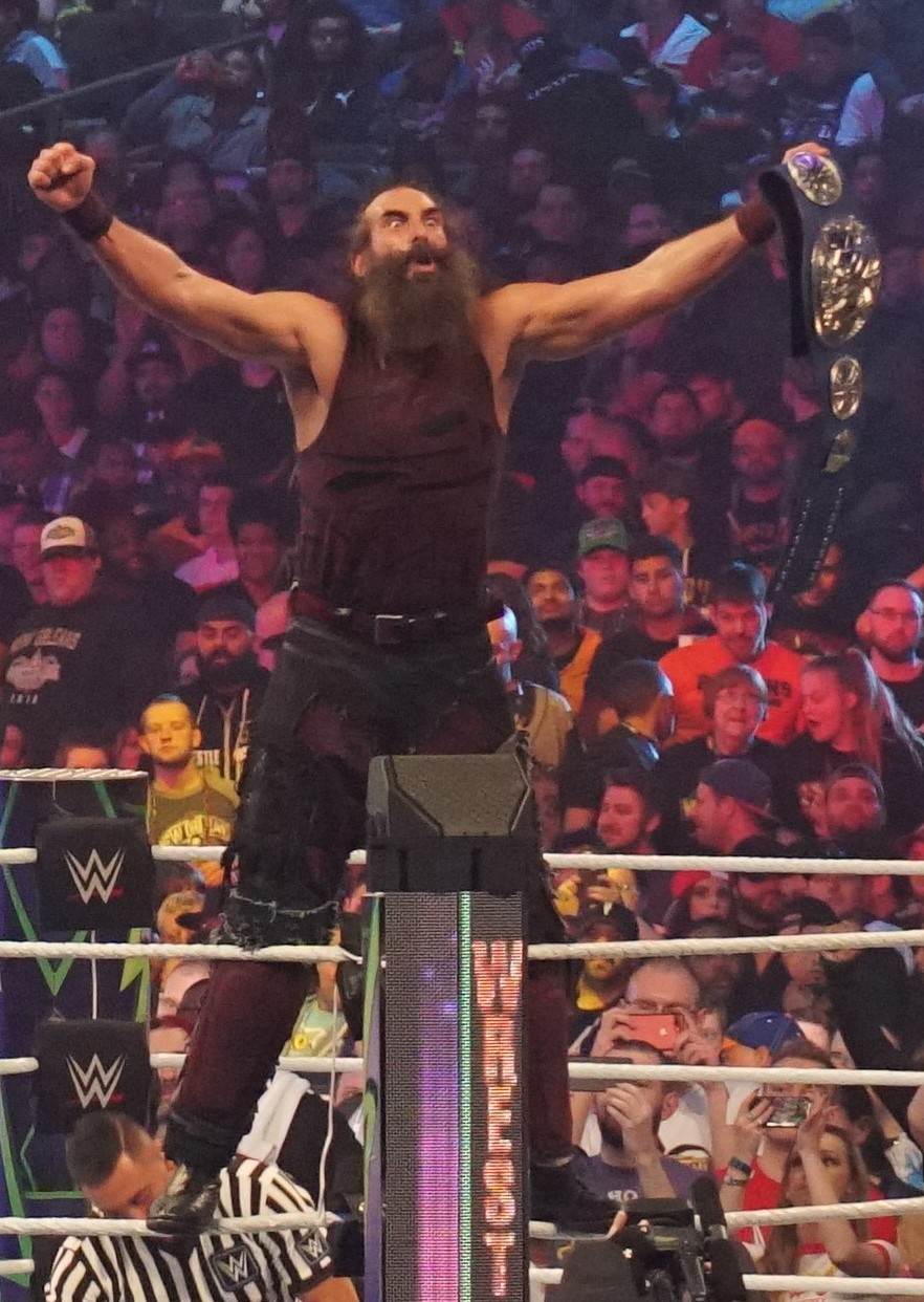 ハーパーはWWEスマックダウン・タッグチーム王座を2度獲得した。写真はブラッジオン・ブラザーズとしてエリック・ローワンと共に戴冠中のもの。