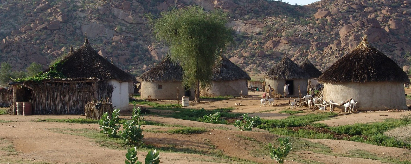 Rumah tradisional agudo/tukul Eritrea di sebuah kampung berhampiran Barentu