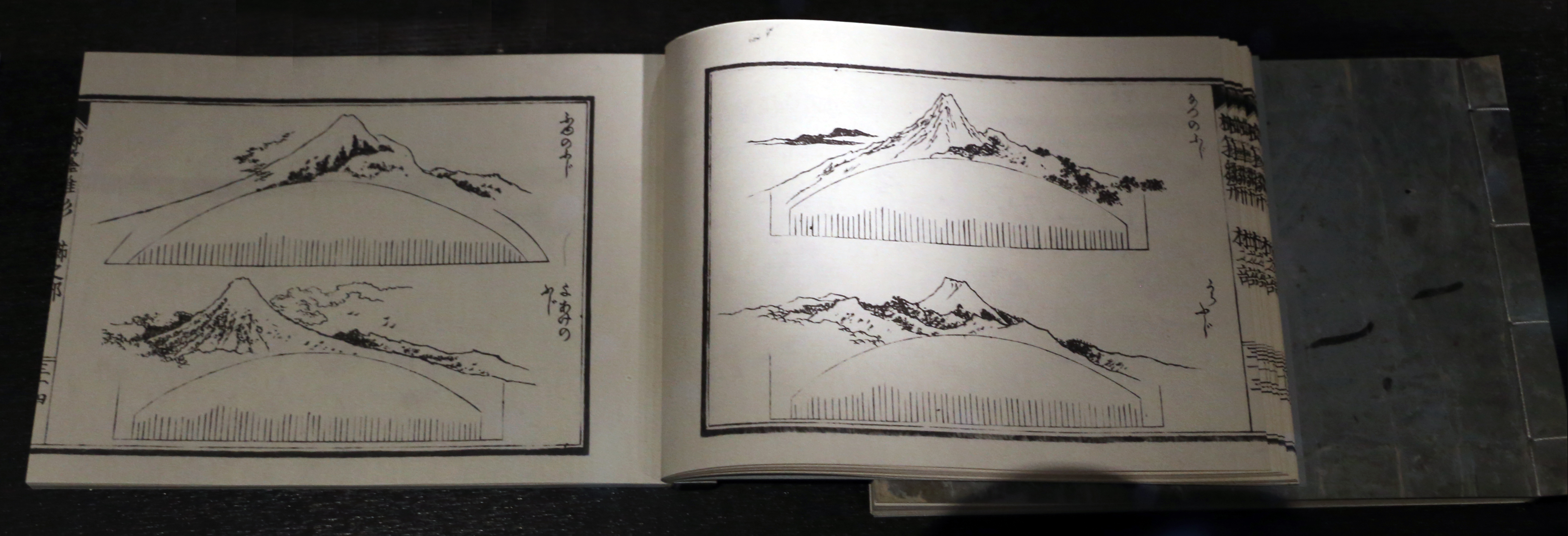 『今様櫛きん雛形』(1823年出版)。さまざまな櫛の図案が掲載されている。すみだ北斎美術館。