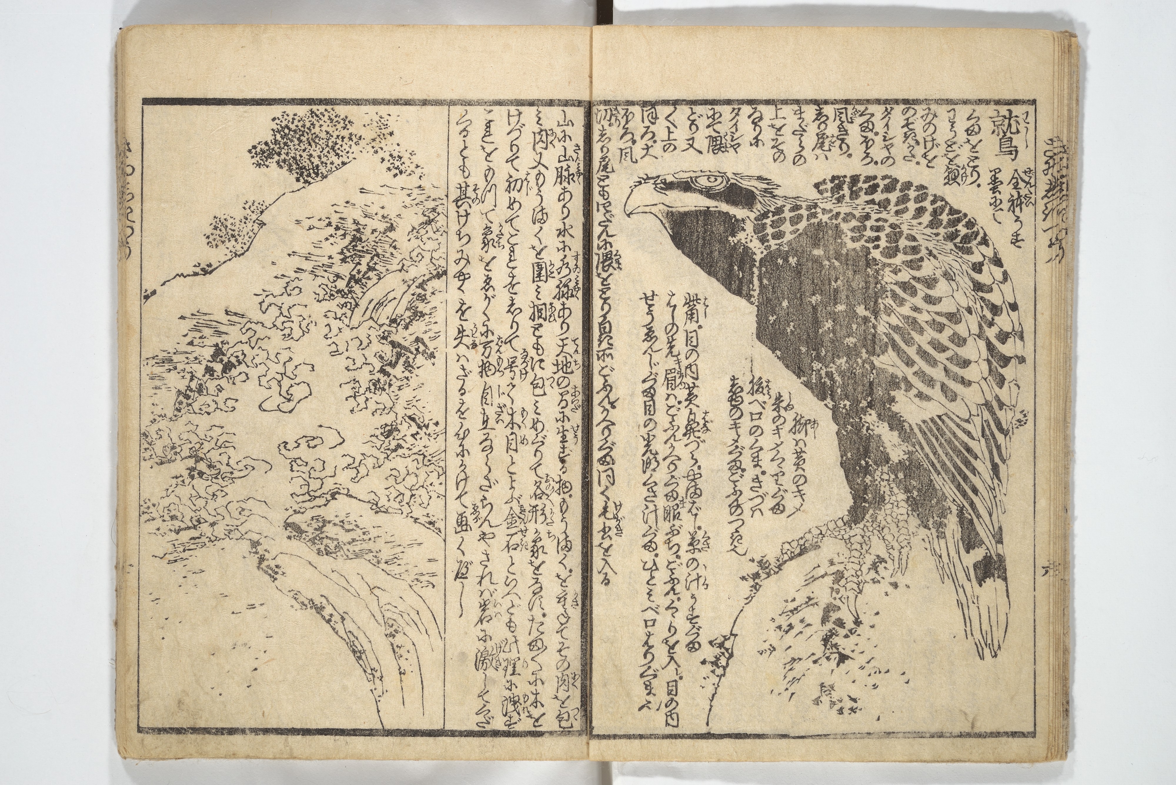 『画本彩色通일본어』 (화본 채색통) (1848년 출판) 호쿠사이의 마지막 미술 교본이 되었다.