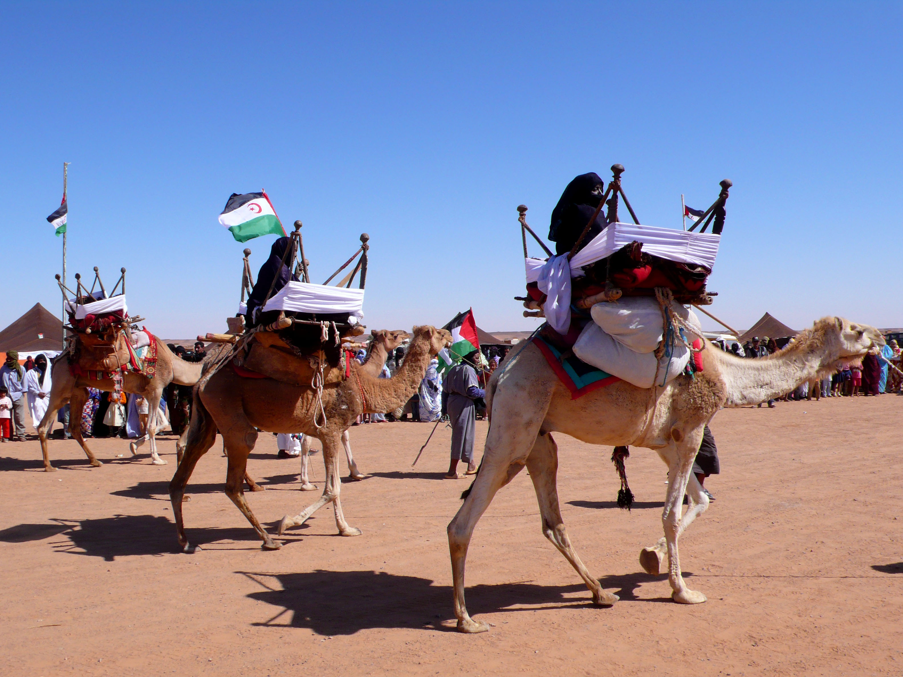 Người Sahrawi