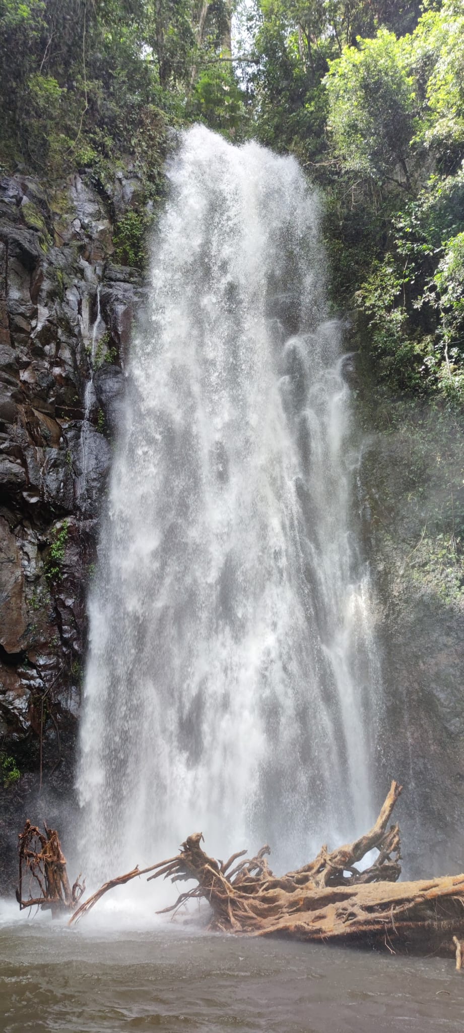 Waterfall in São Tomé Island