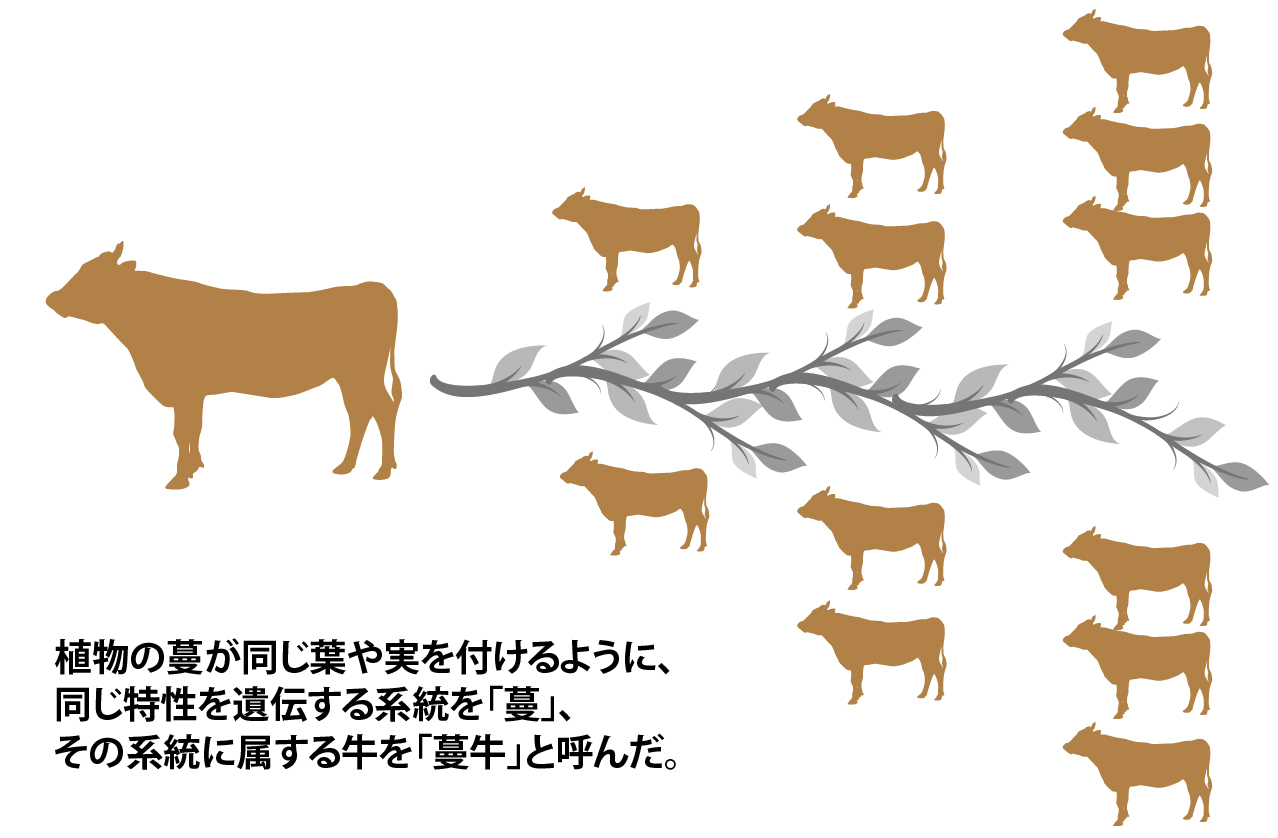 츠루와 츠루우시 이미지
