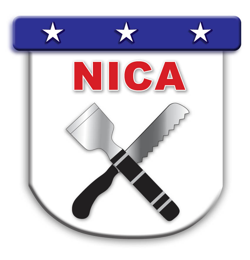 NICA 보호막
