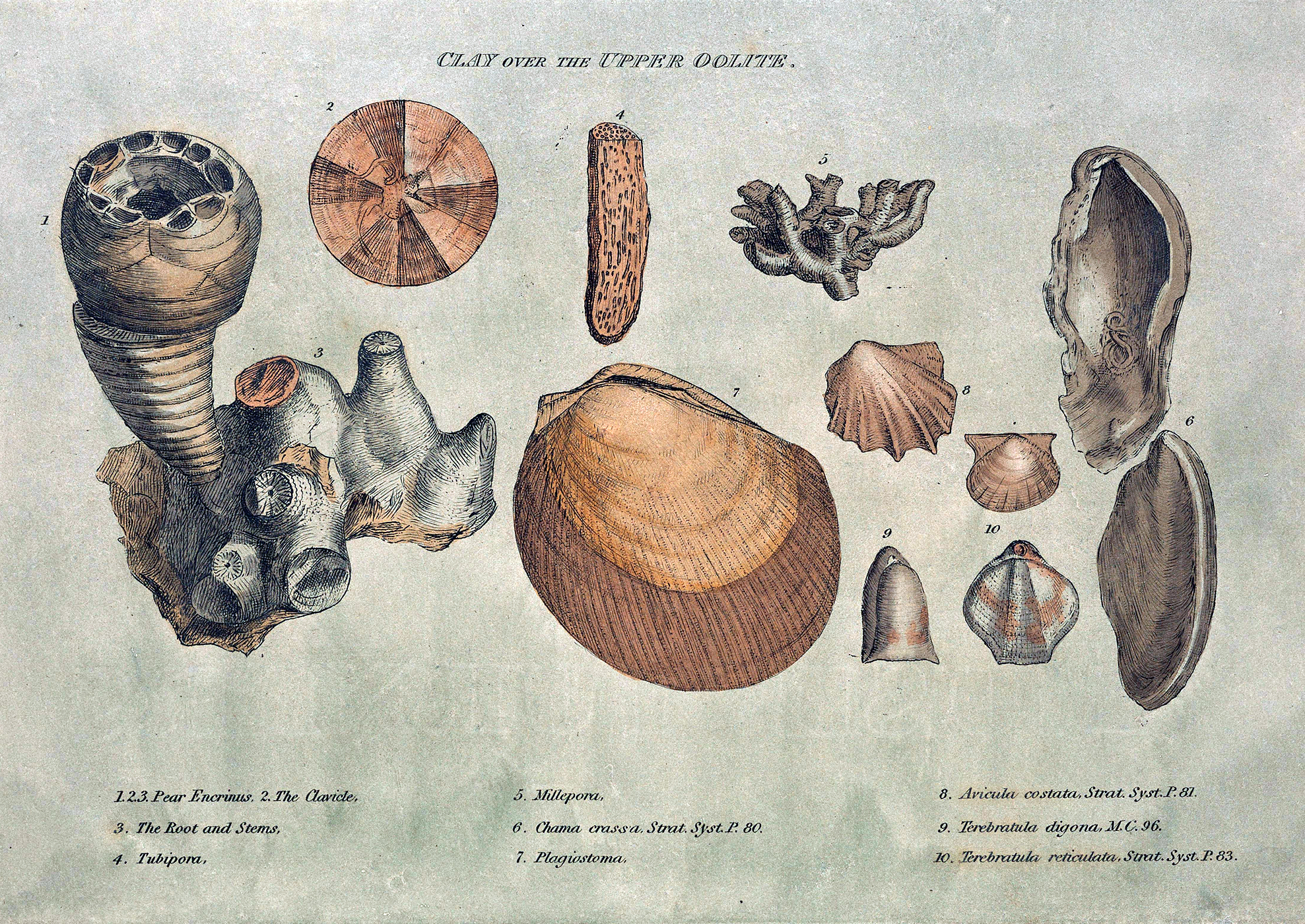 윌리엄 스미스의 1815년 단행본에 있는 판화로, <a href=