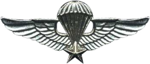 베트남 공화국 수석 강하 훈련사 배지