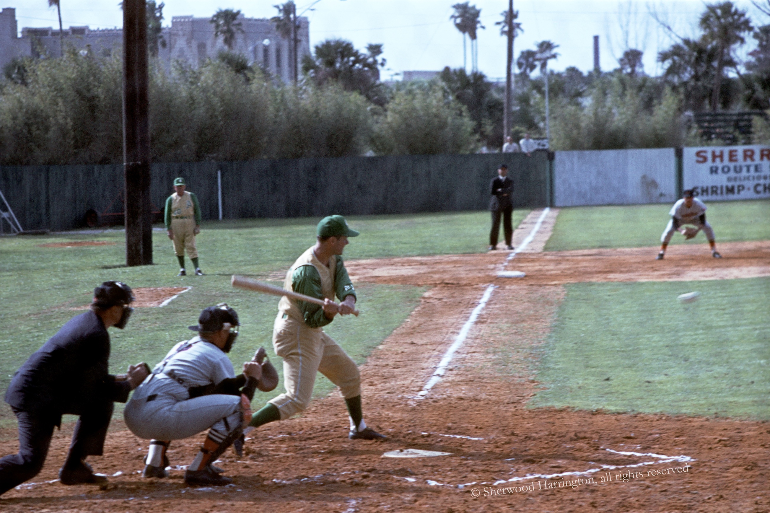Colavito memukul bola untuk Kansas City A's semasa spring training pada tahun 1964.
