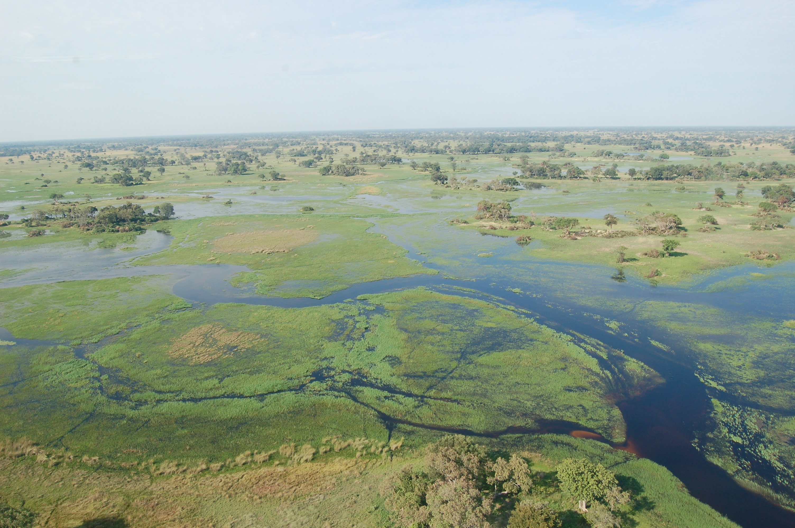 Delta Okavango