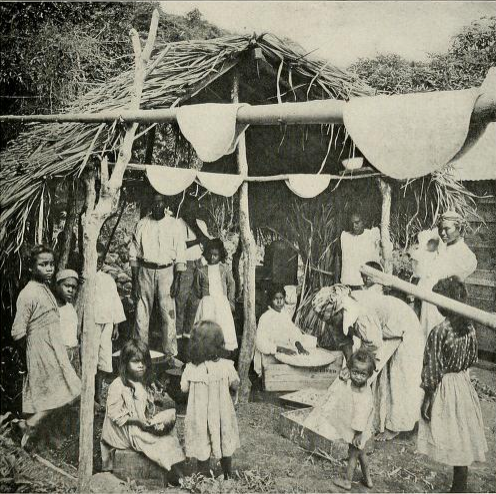 1910年代にセントビンセントの住民がキャッサバパン(カサベ)を作っている様子