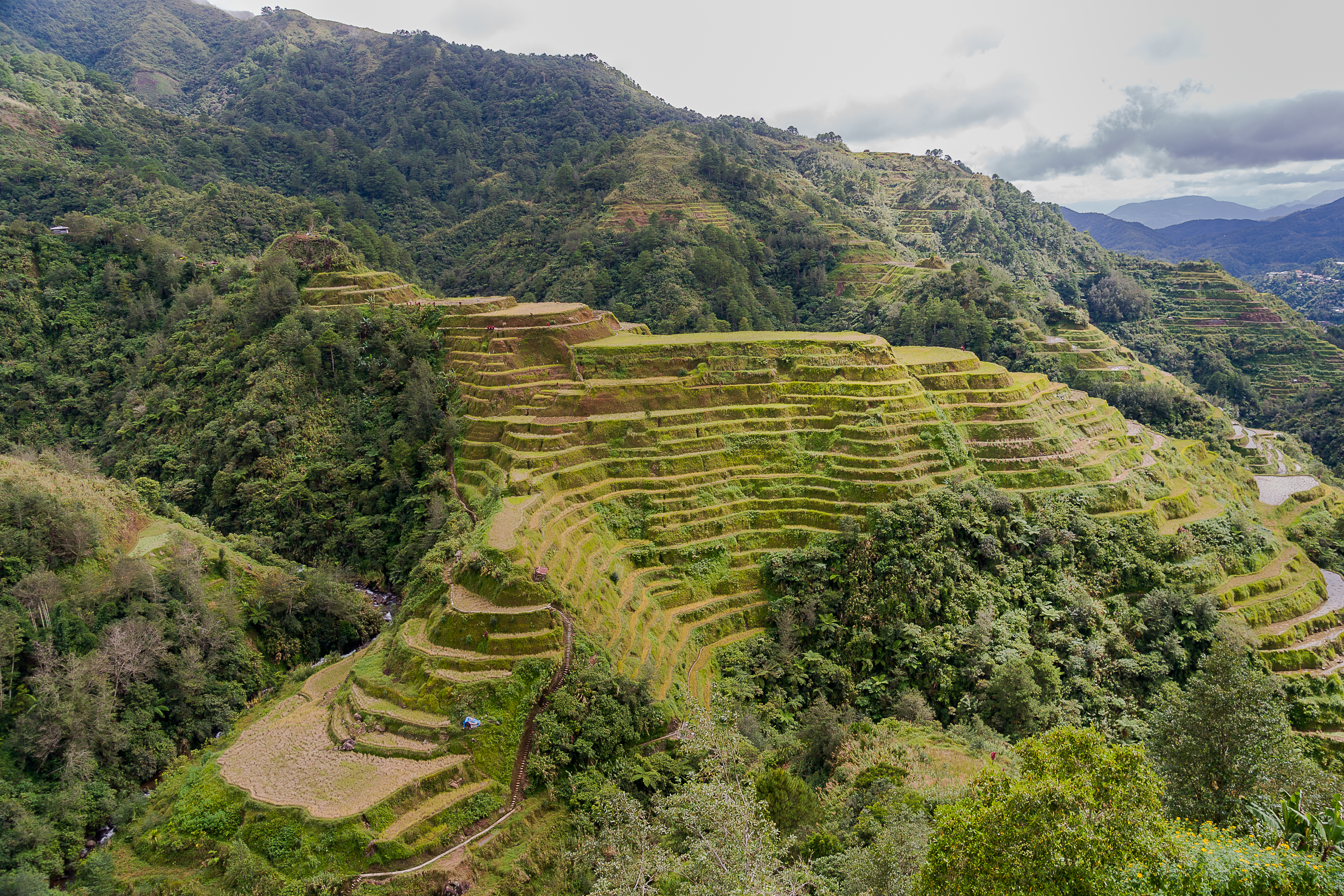 The Banaue Rice Terraces, part of the Rice Terraces of the Philippine Cordilleras UNESCO World Heritage Site, were carved into the mountains by ancestors of the Ifugao indigenous people. They represent a unique cultural landscape and engineering feat.