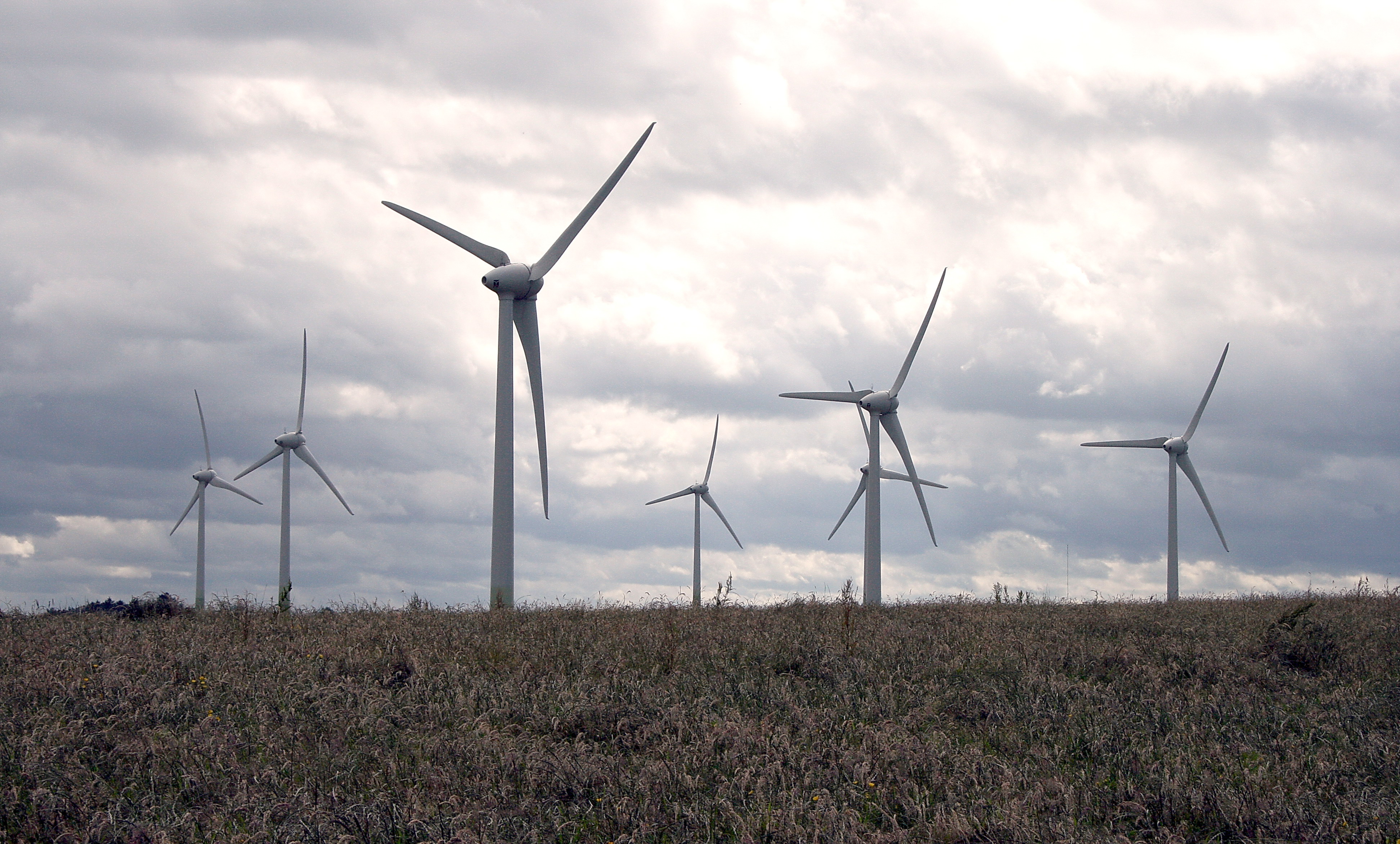 Sebuah ladang angin di County Wexford, menunjukkan komitmen Irlandia terhadap energi terbarukan.