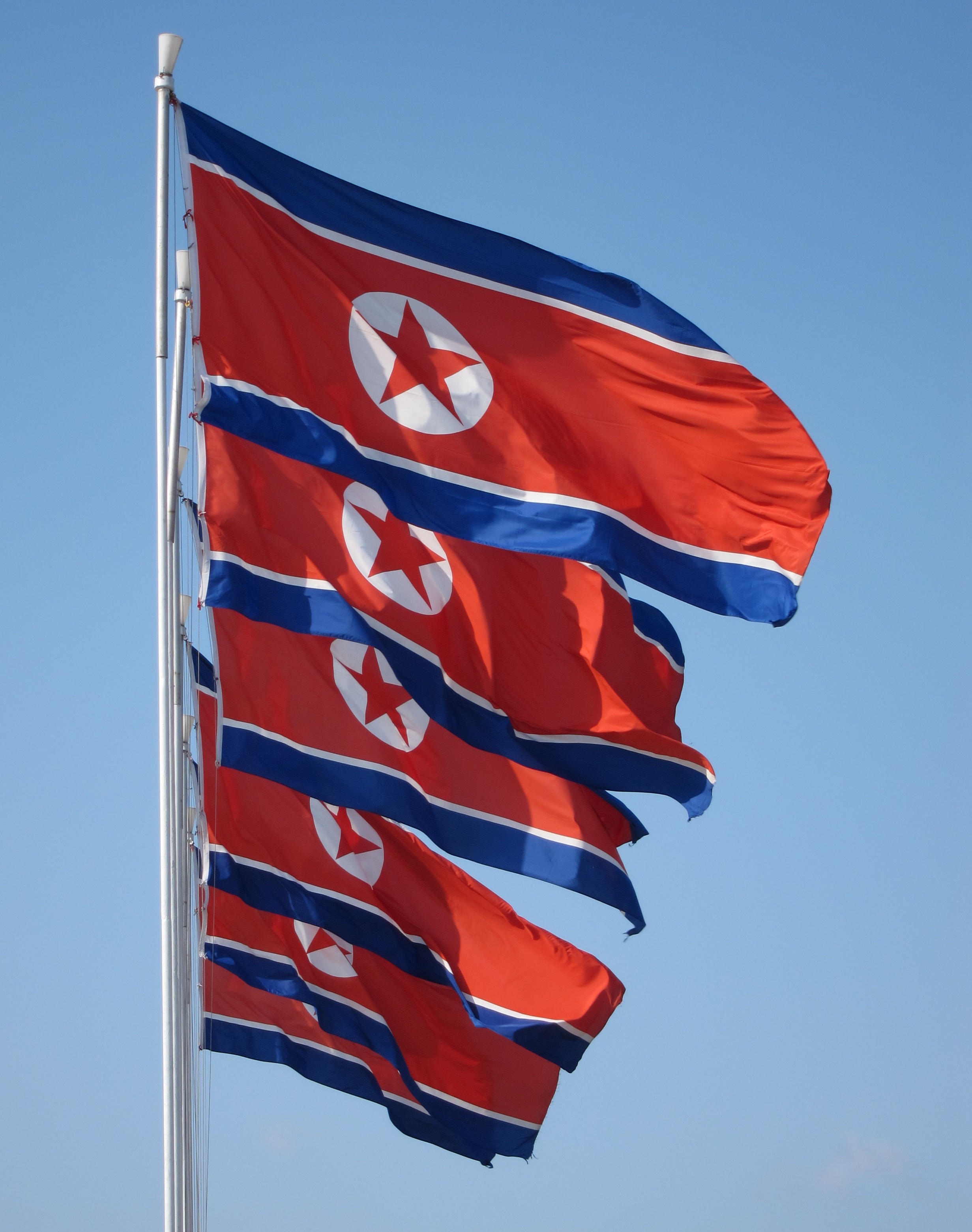 금수산태양궁전에 게양된 공화국기