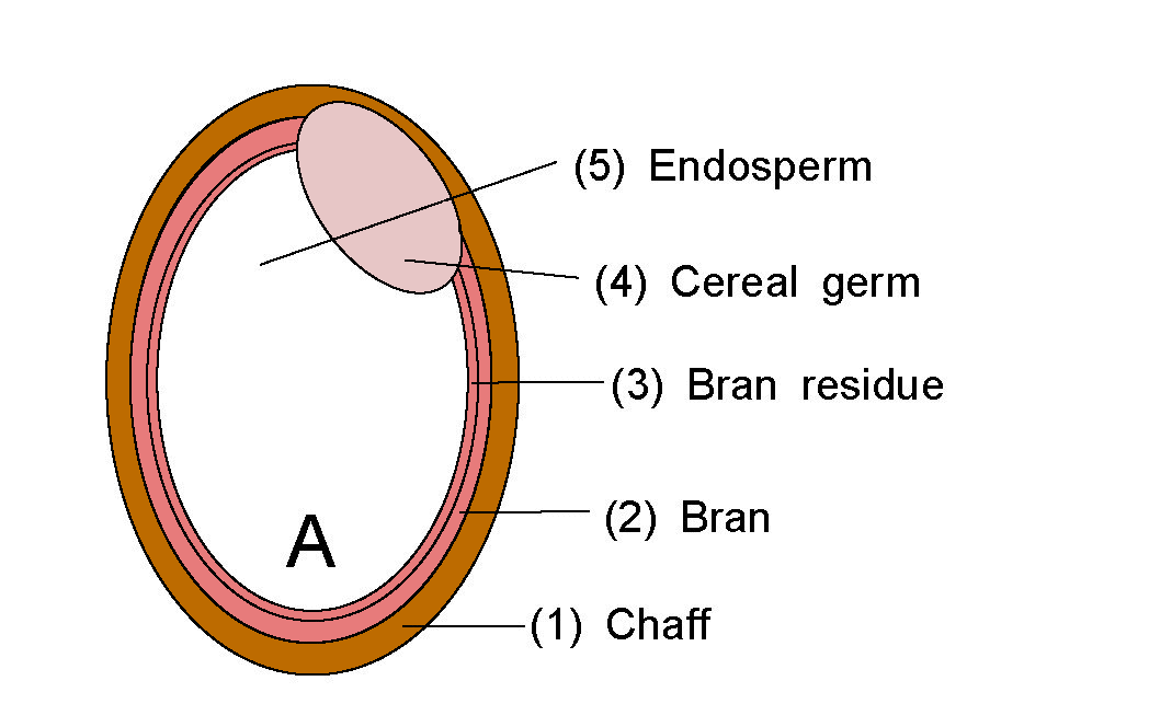 Five-step animation showing the removal of successive layers from raw rice grains, starting with the grain with its inedible hull and ending with polished white rice.