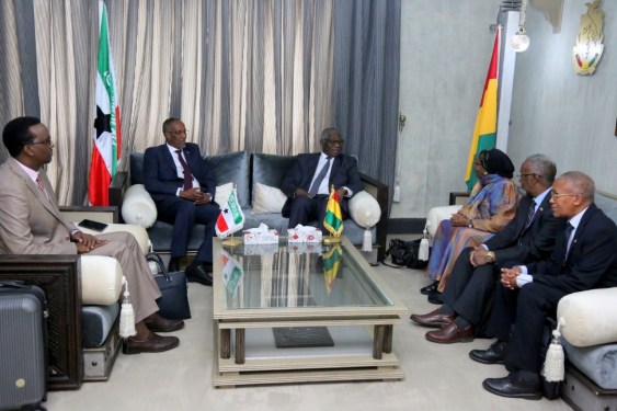 Presiden Somaliland Muse Bihi Abdi selama kunjungan ke Republik Guinea. Ia menerima delegasi tingkat tinggi yang dipimpin oleh Menteri Luar Negeri Guinea Mamadi Touré pada tahun 2019.