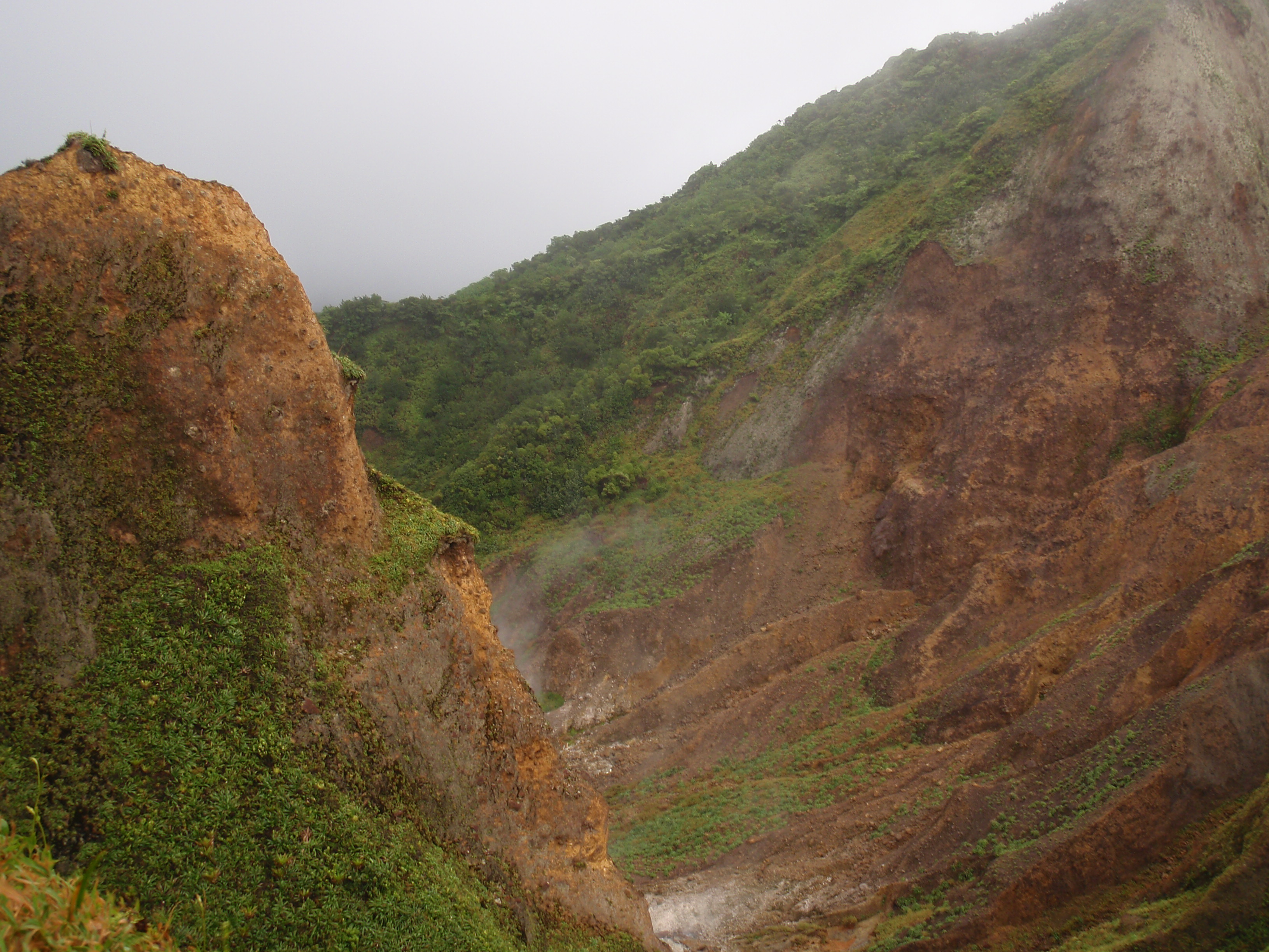 The Valley of Desolation, part of Morne Trois Pitons National Park, showcasing Dominica's volcanic landscape.