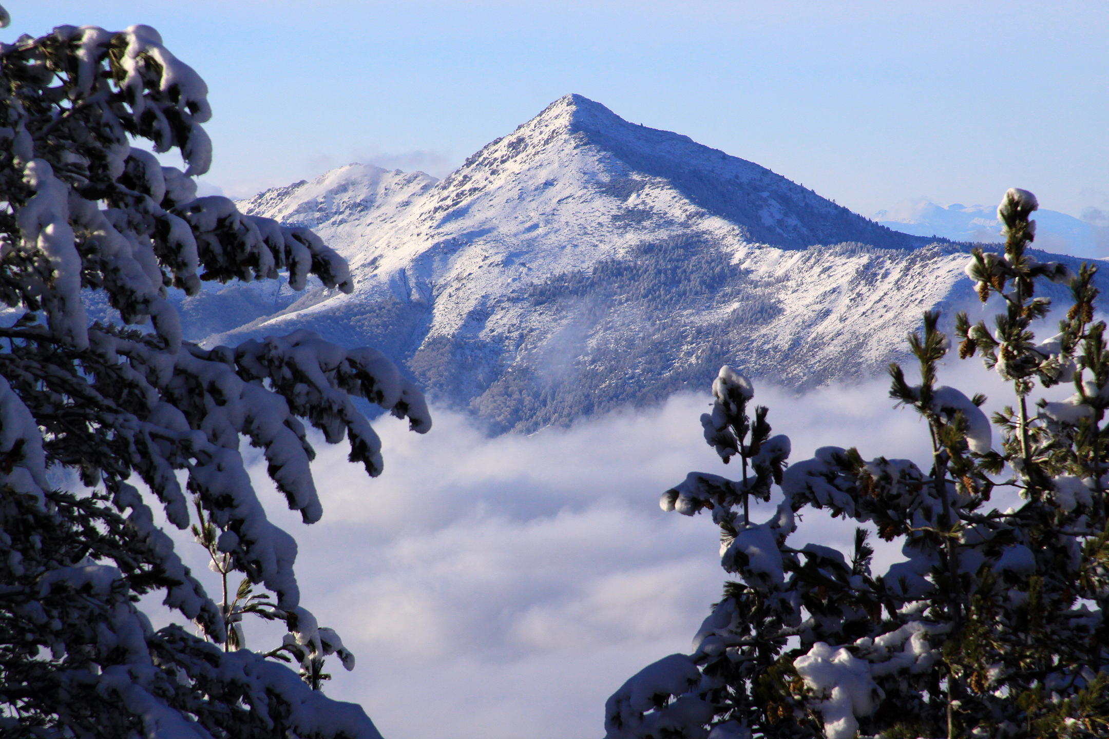 An Alpine climate is evident in the Pashallora (Oštrovica) peak of the Šar Mountains, as seen from Brezovica.