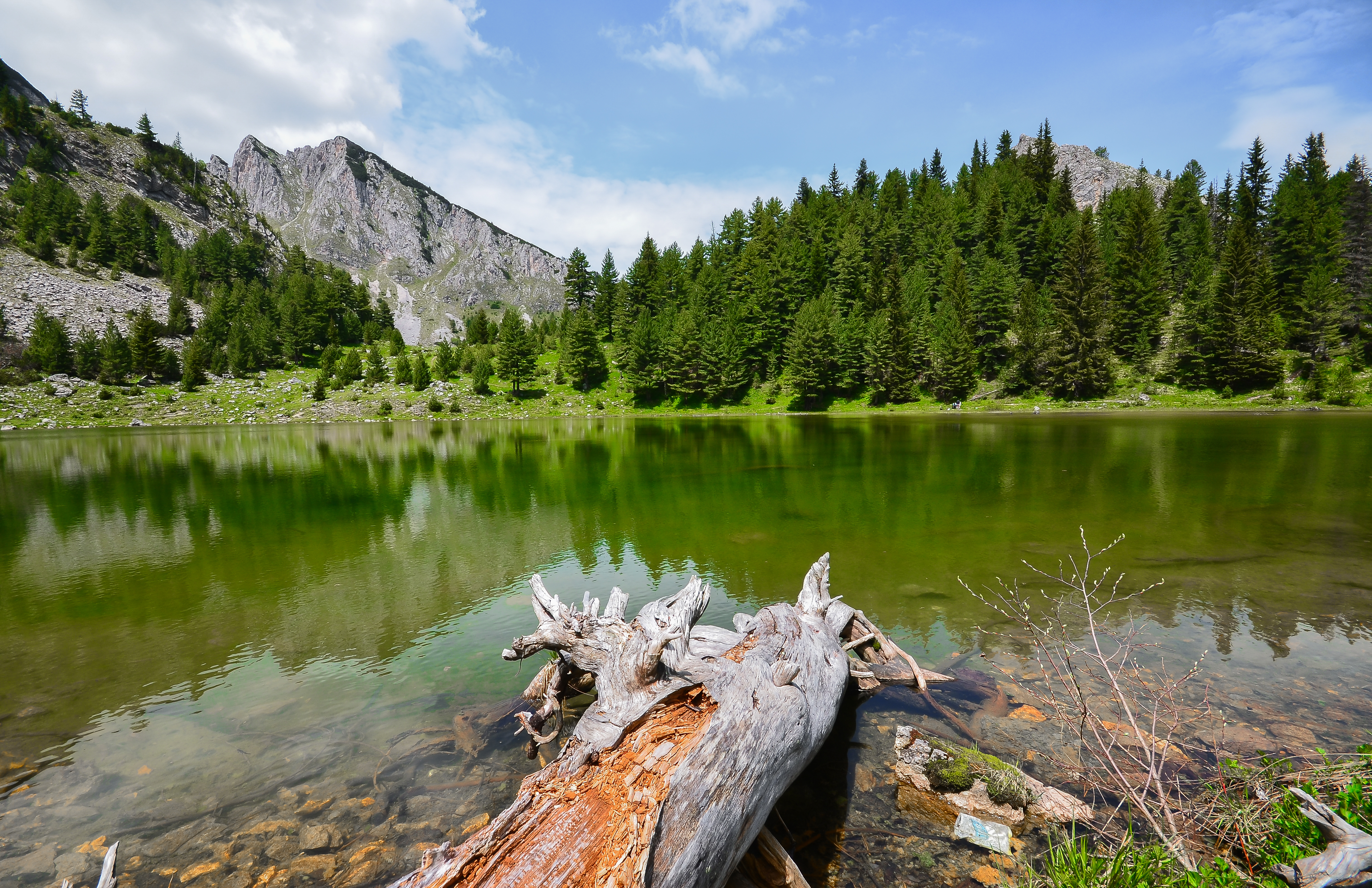 The Bjeshkët e Nemuna National Park is a significant area for biodiversity in Kosovo, home to diverse flora and fauna, including glacial lakes like the Great Lake of Liqenat.