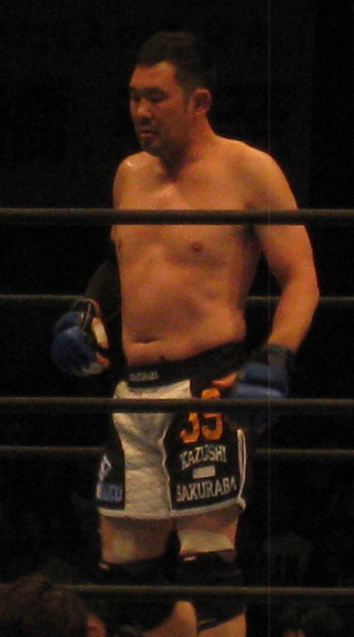 桜庭和志、2013年