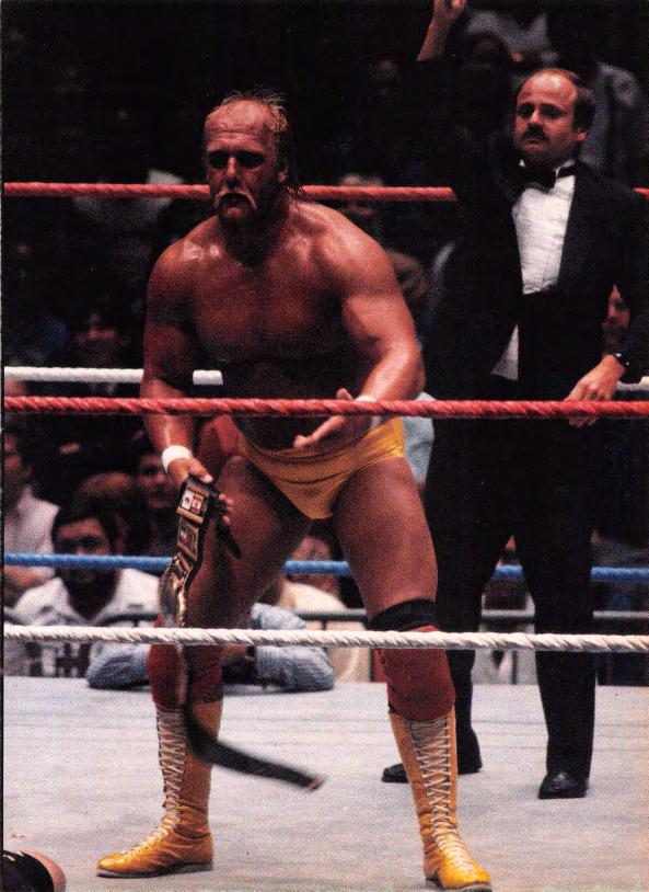 6회 WWE 챔피언십을 획득한 호건