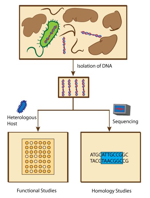 Overview of metagenomic methods