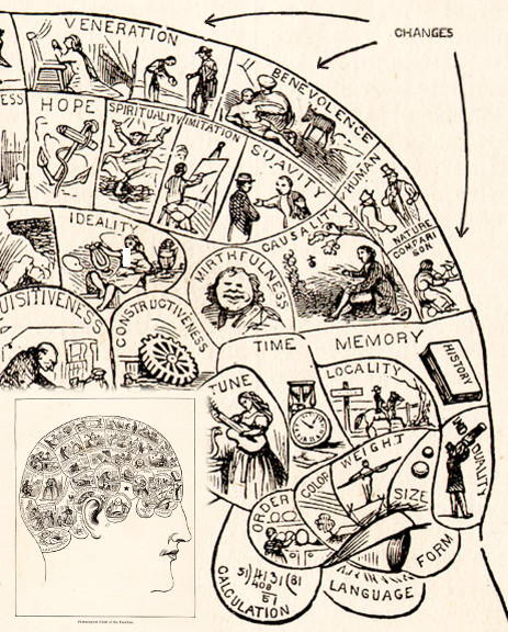 Phrenologists contended that destruction of the mental