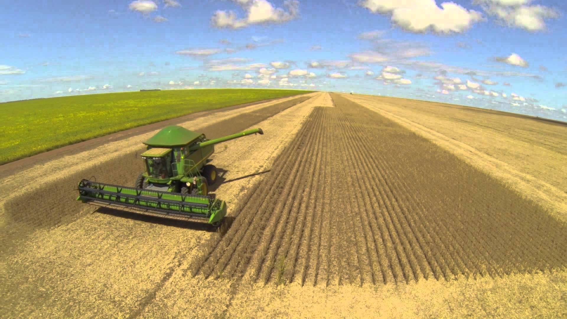 Soybean crop in Tangará da Serra, Mato Grosso. Brazil is a major agricultural exporter.