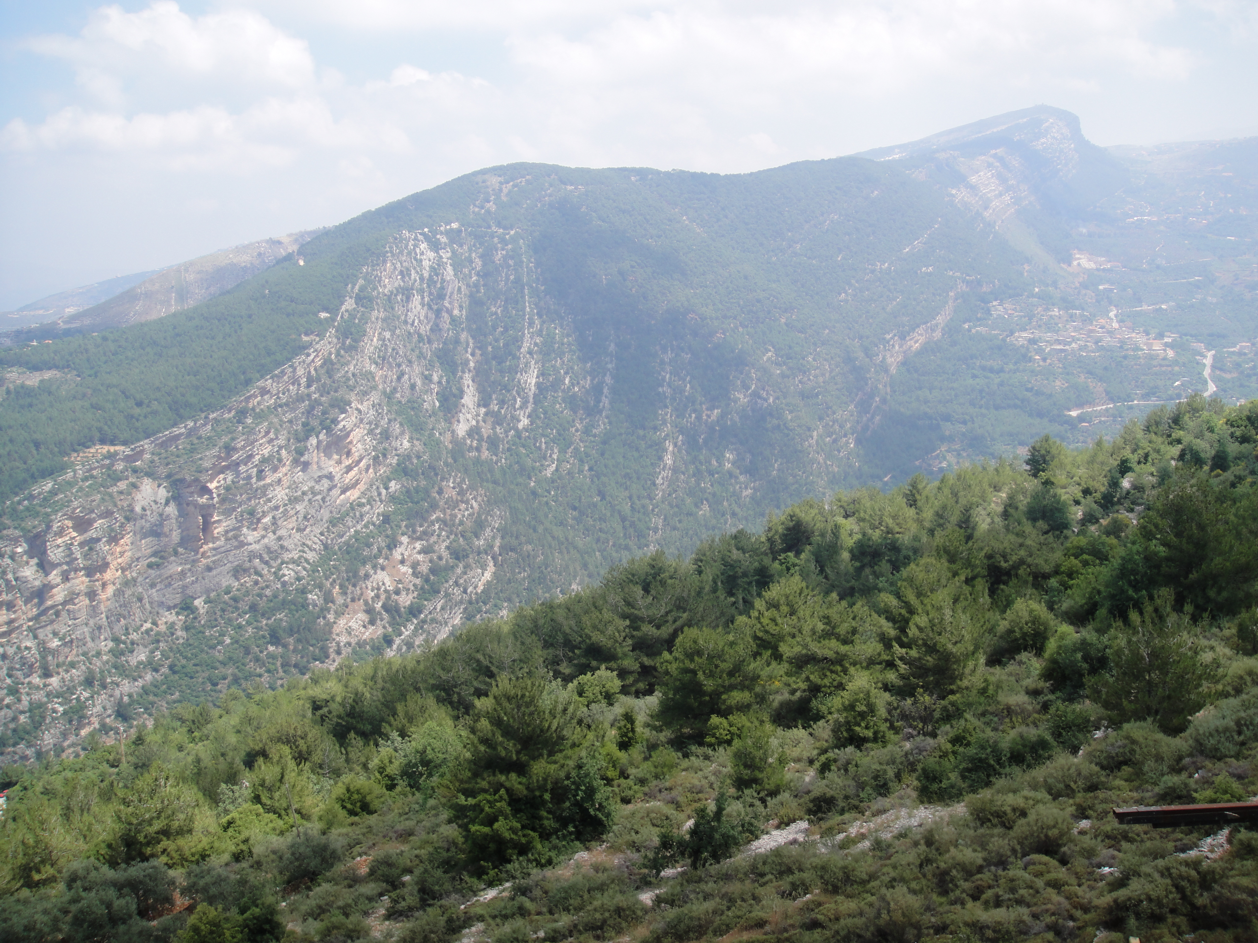 Gunung Lebanon adalah rangkaian pegunungan di Lebanon. Rata-rata ketinggiannya di atas 2.50 K m.