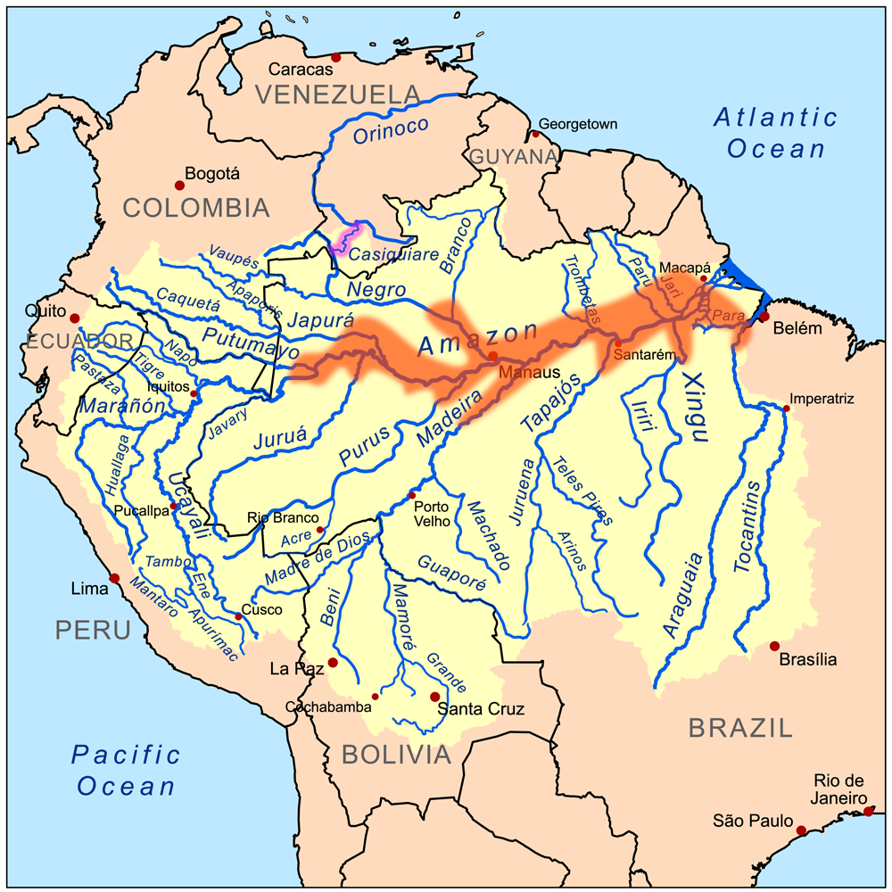 This is a map of distribution of Symphysodon (Discus fishes, in orange, in yellow Amazon River drainage basin).