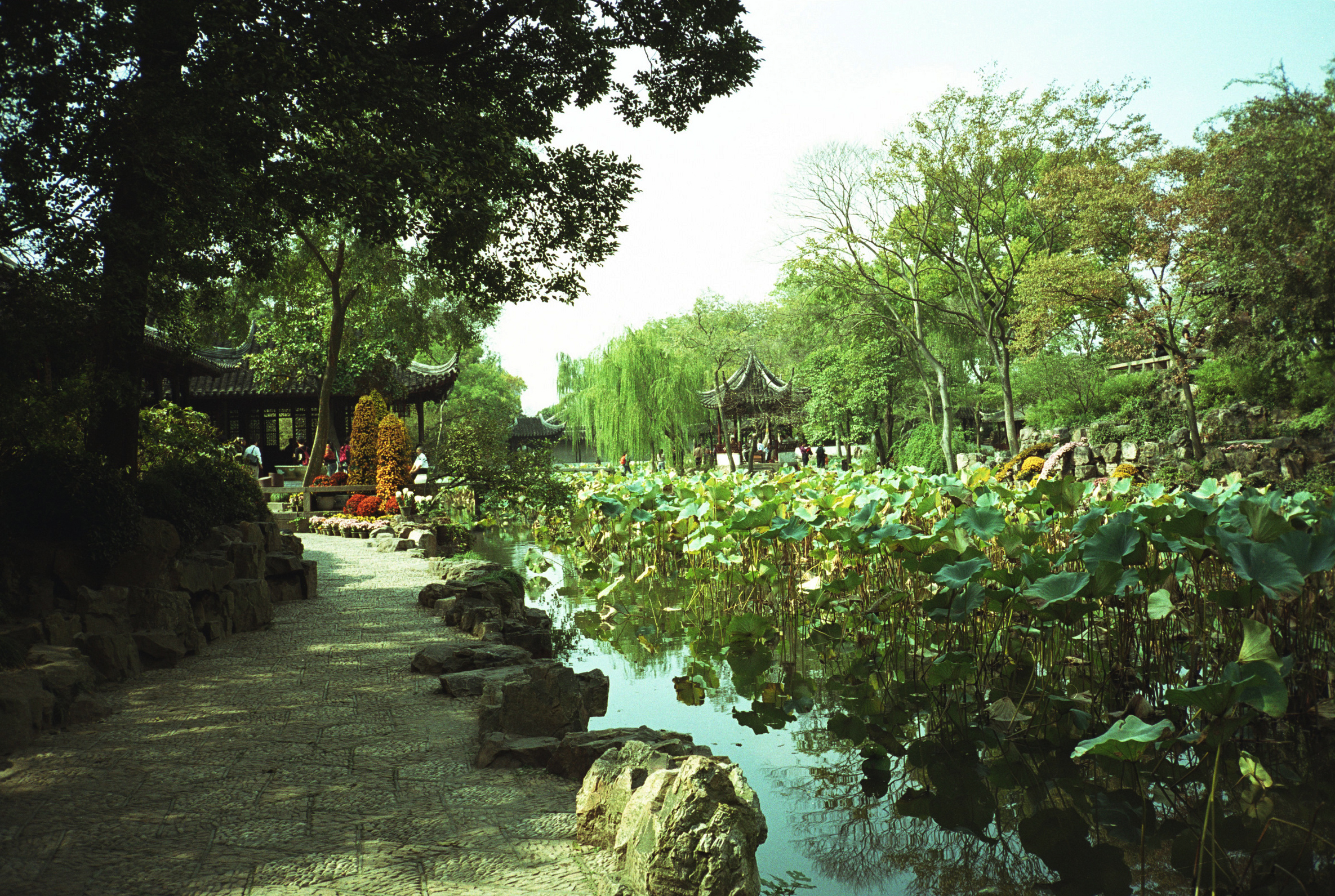 The Shizilin Garden in Suzhou. Men and women stand on curving rock formations overlooking a pond containing flowery plants.