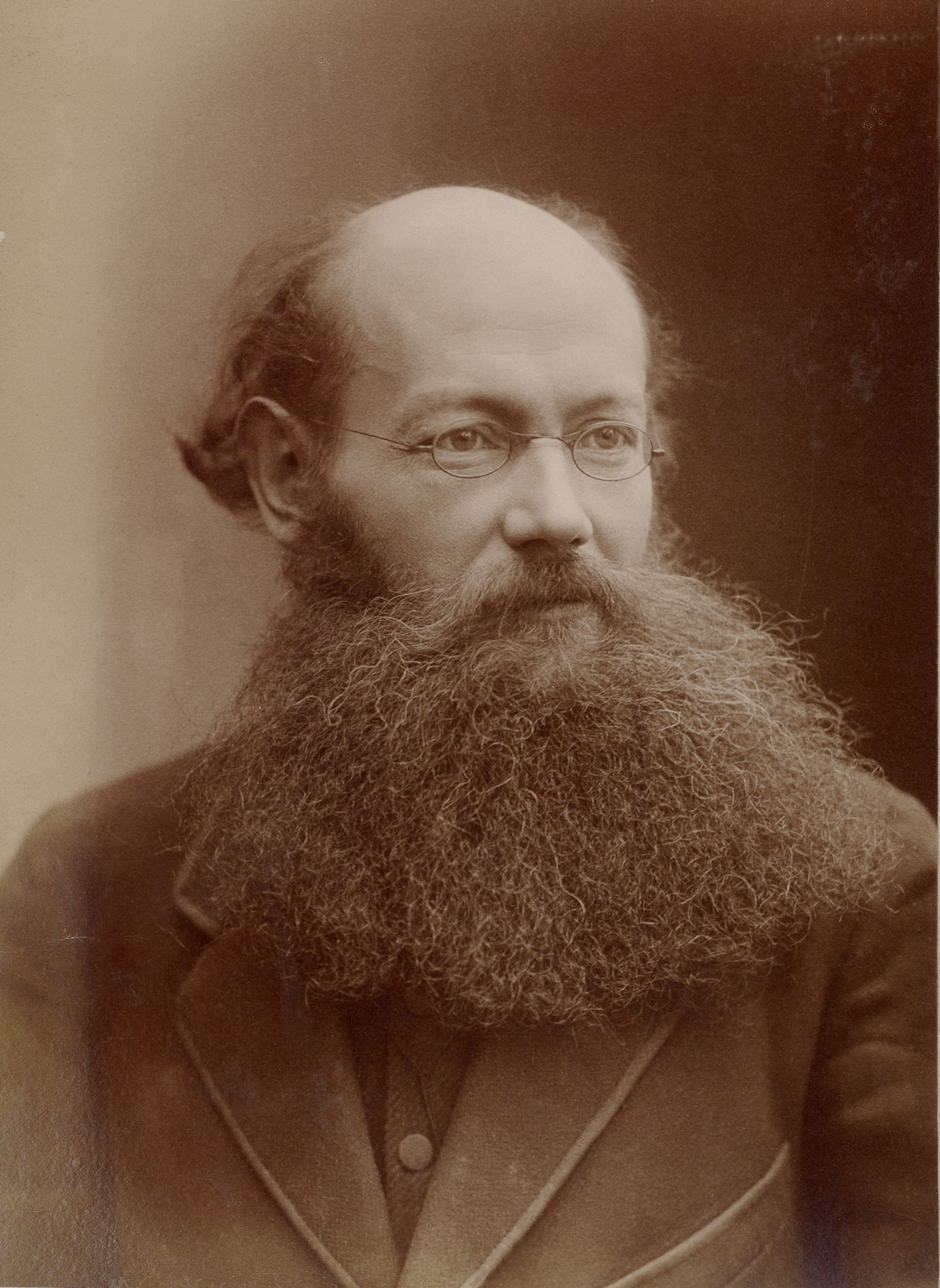 Kropotkin pada tahun 1876.