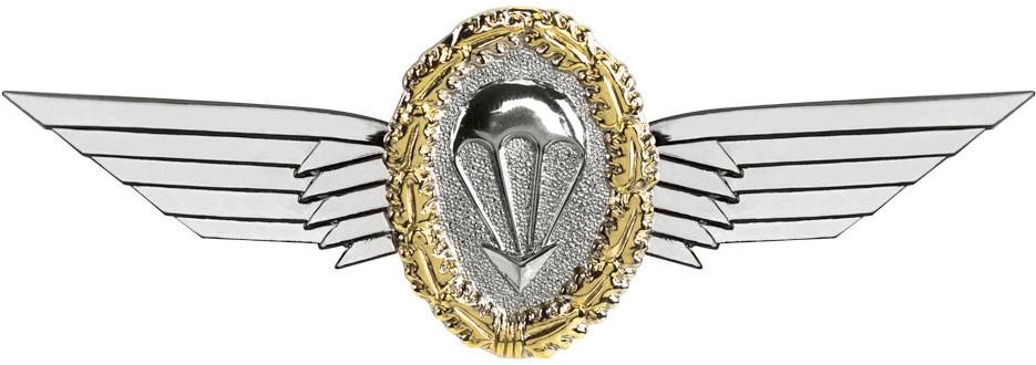 은색 독일 강하 훈련사 배지