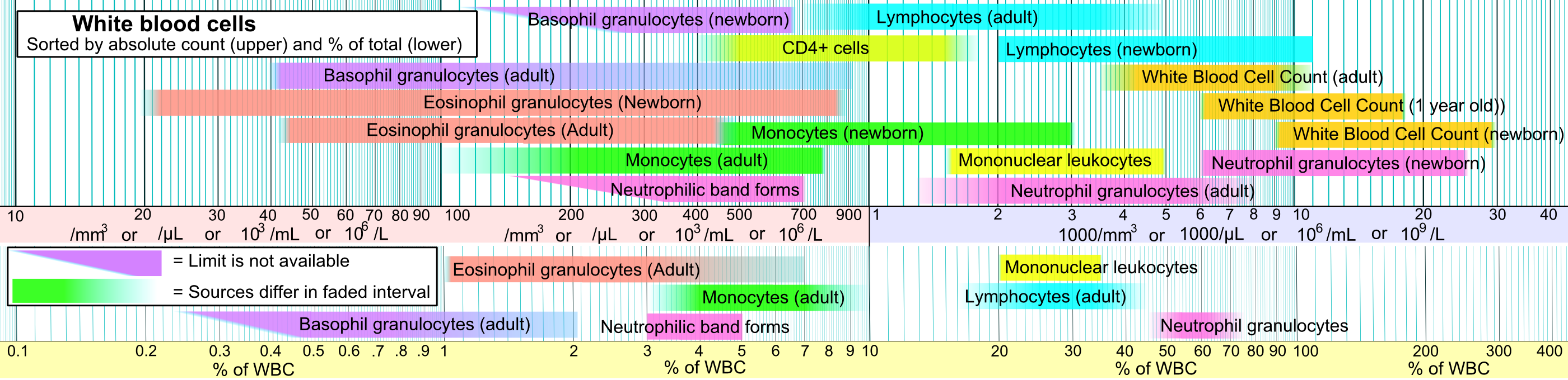 혈액 검사 참조 범위의 백혈구, 호산구 과립구량(밝은 빨간색으로 표시)을 다른 세포와 비교