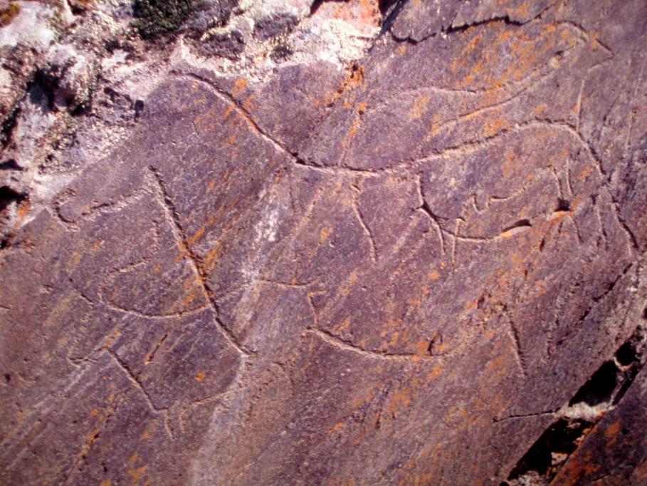 Các hình khắc đá thời tiền sử ở Thung lũng Côa, một Di sản Thế giới của UNESCO.