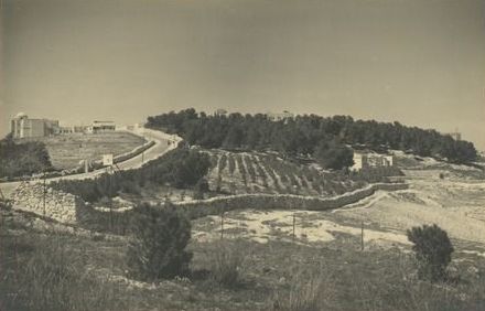 1930년대 히브리 대학교 캠퍼스