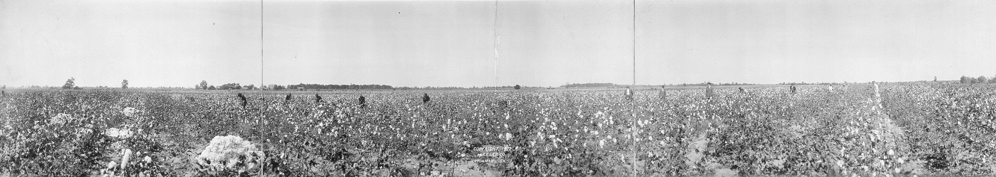 조지아에서 <a href=