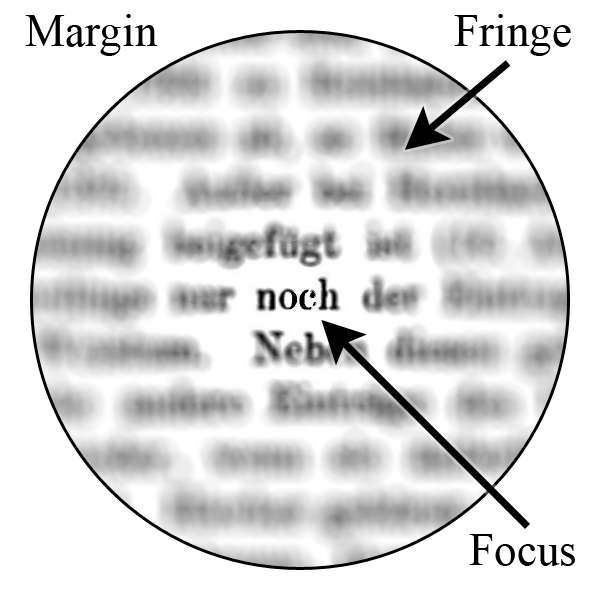 The spotlight model of attention