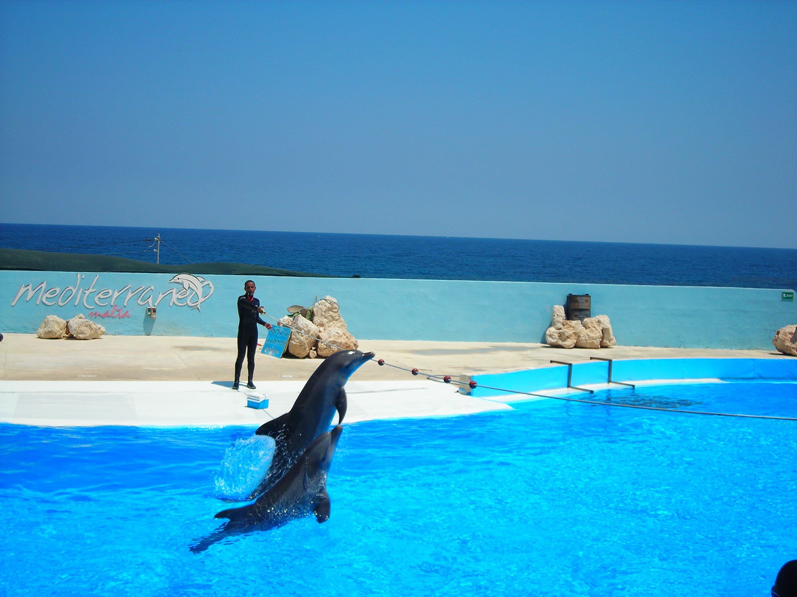 Pertunjukan lumba-lumba di Mediterraneo Marine Park. Pelancongan merupakan bahagian penting dalam KDNK Malta.