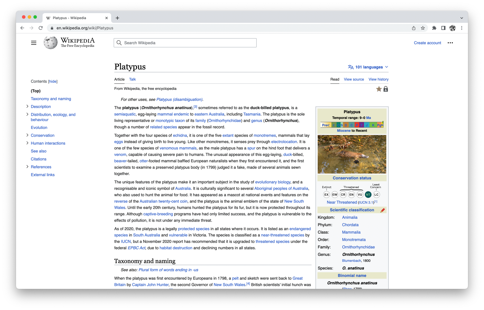 Wikipedia 페이지 
