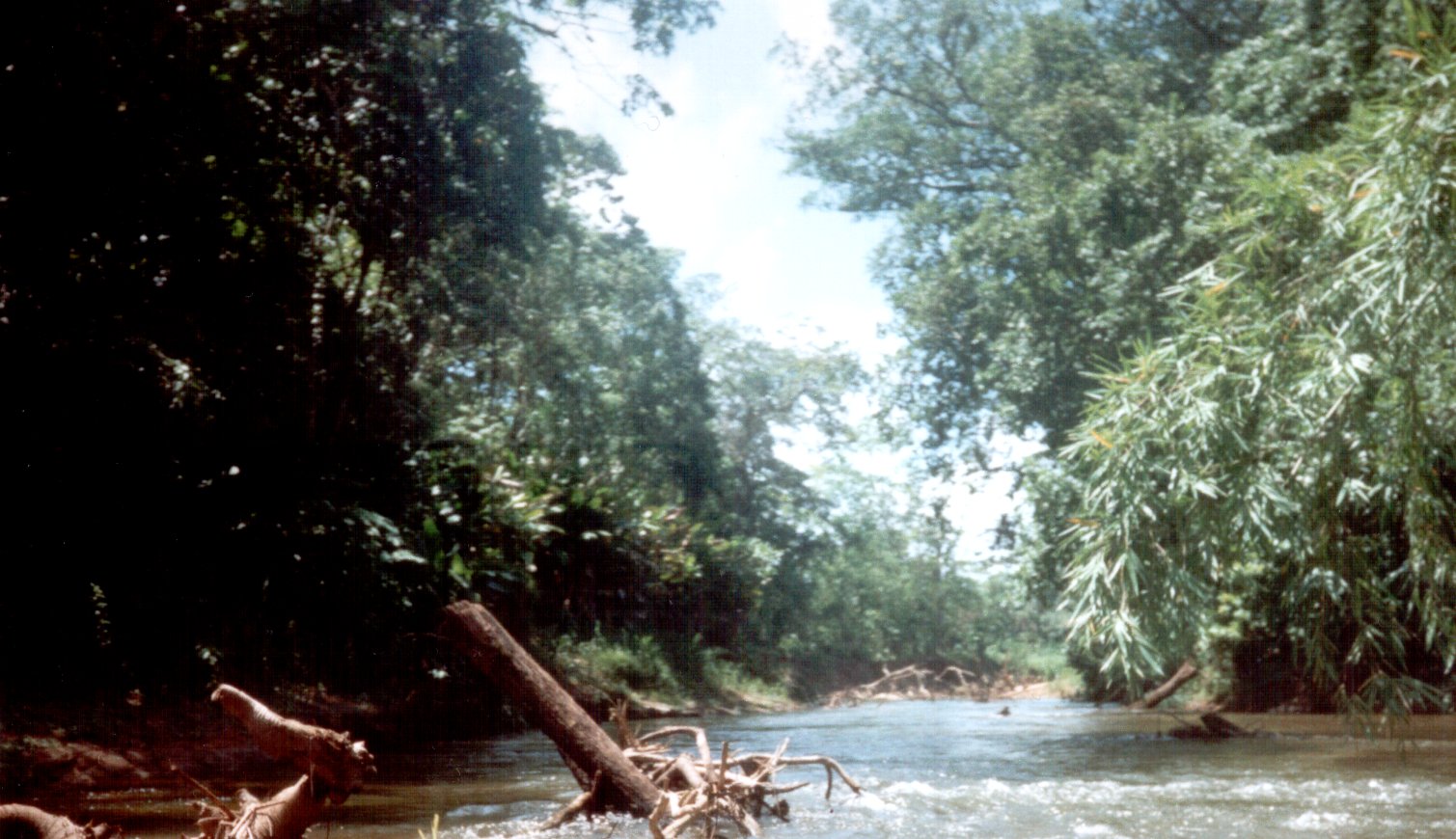 Rizab Biosfera Río Plátano - (1980, warisan semula jadi)