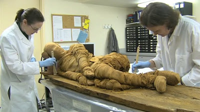 Old Kingdom Mummy