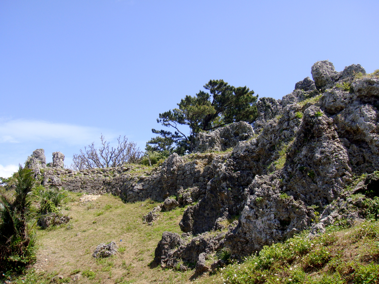 언덕 위에 풀과 소나무로 덮인 고대 석조 성의 폐허