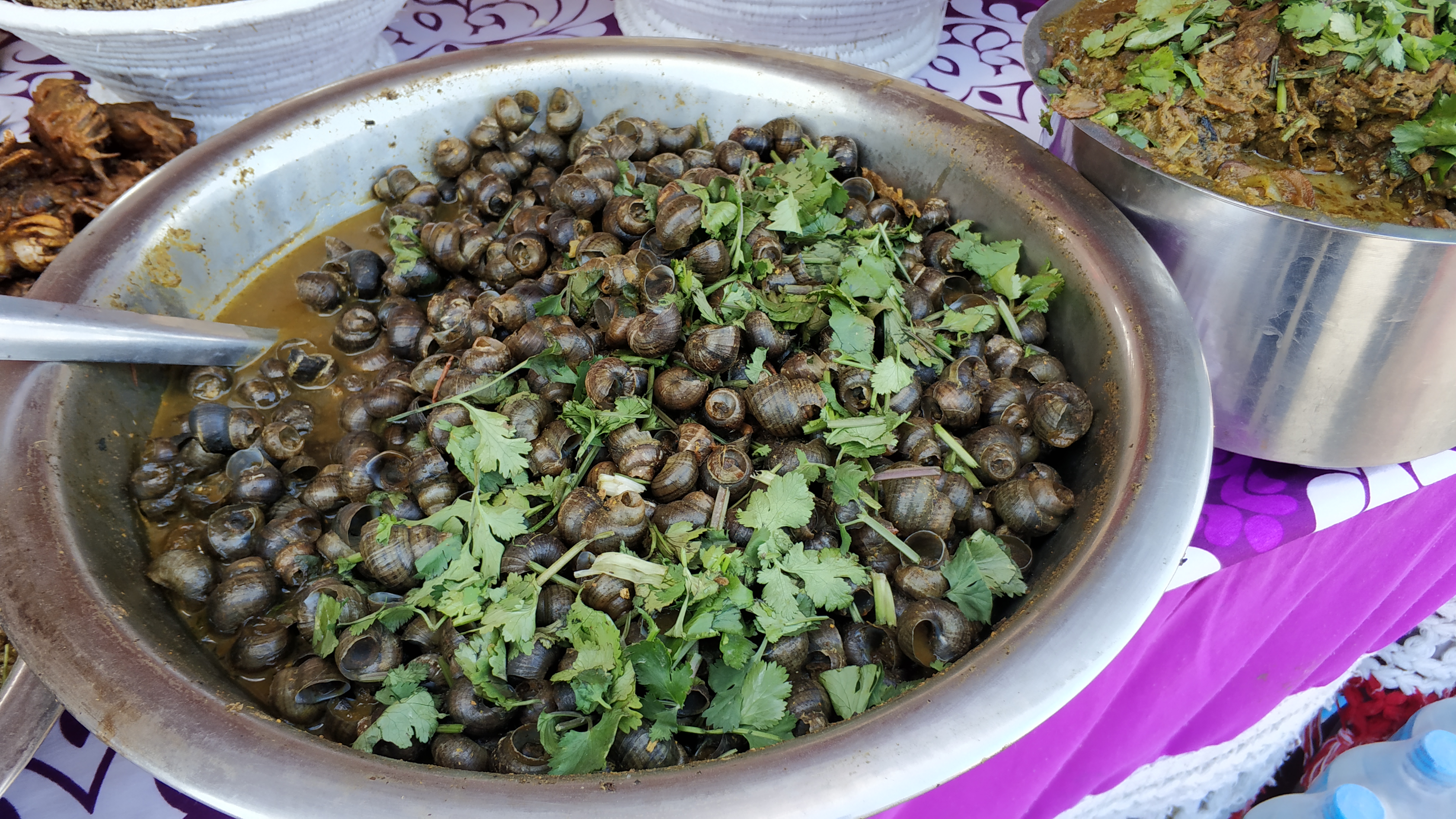 Ghonghi, 신선한 물 달팽이는 타루족에게 인기가 많다