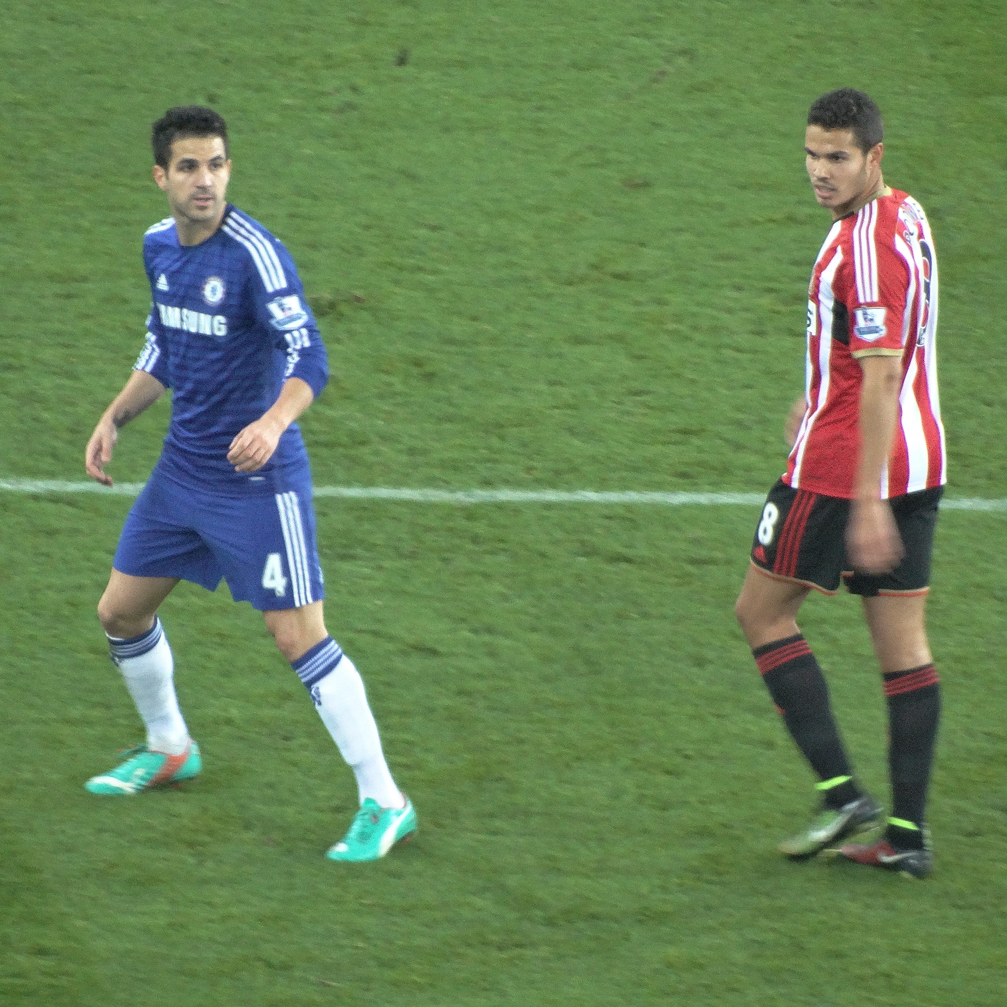 Rodwell dan Cesc Fàbregas semasa perlawanan Liga Perdana antara Sunderland dan Chelsea pada 29 November 2014.